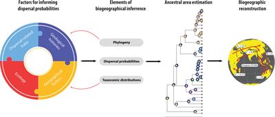 Towards better-informed dispersal probabilities in historical biogeography: Arachnids as a model lineage